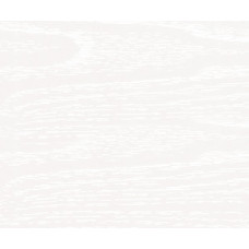 FLORENCE BINNENPLAFOND PANEEL 250X10MM ACERA LENGTE 6M