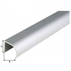 GREEPPROFIEL,ALU,ZILV25X19/1