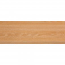 MP RECHTKANT 18MM BEUKEN 120X25CM